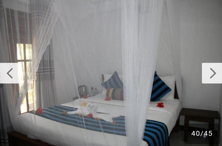Habarana New Star Homestay Exterior photo